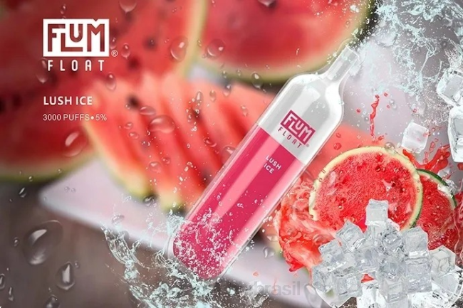 FLUM FLOAT 3000 baforadas gelo exuberante 828A52 | FLUM PEBBLE BRASÃLIA